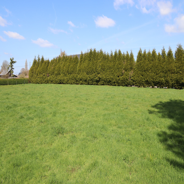 Offres de vente Terrain Luneray 76810