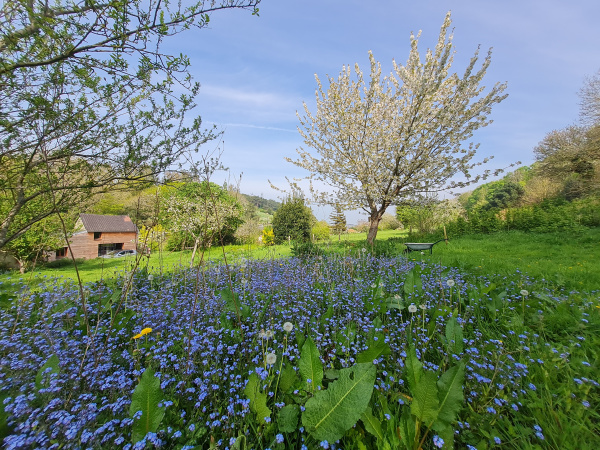 Offres de vente Maison Saint-Valery-en-Caux 76460